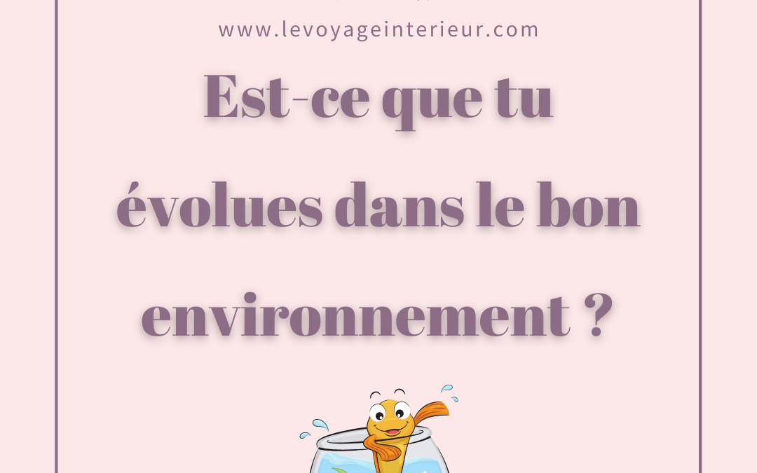 Est-ce que tu évolues dans le bon environnement ?