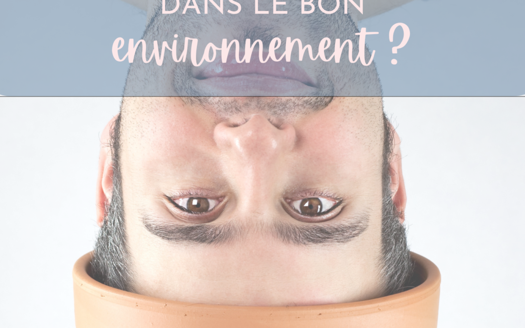 Évoluez-vous dans le bon environnement ?