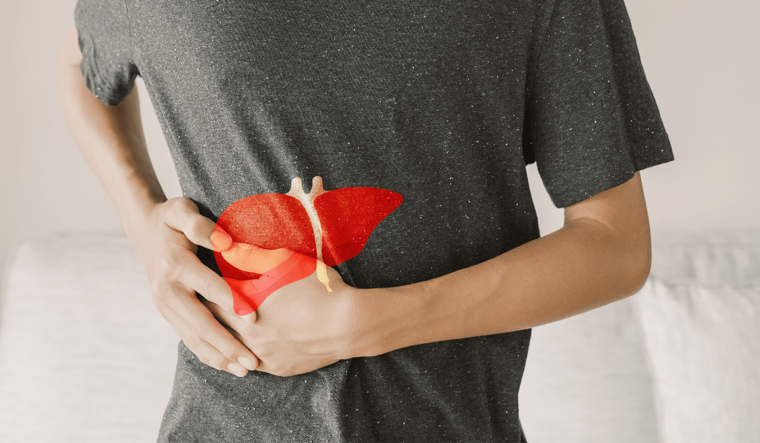 Le foie : alchimiste et gardien de la clarté