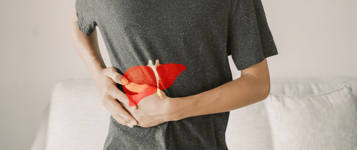 Le foie : alchimiste et gardien de la clarté